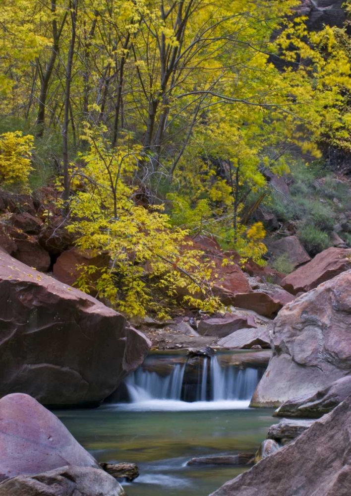 UT, Zion Virgin River waterfall and The Narrows art print by Nancy Rotenberg for $57.95 CAD