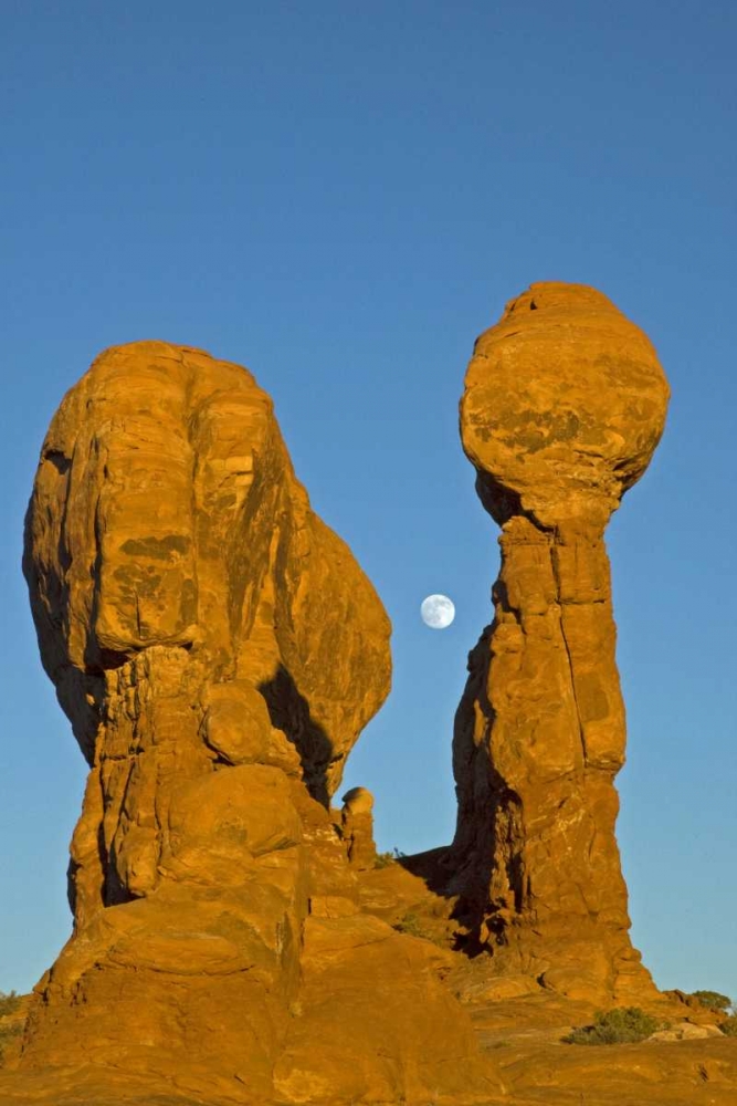 UT, Arches NP Moonrise over Garden of Eden art print by Cathy and Gordon Illg for $57.95 CAD