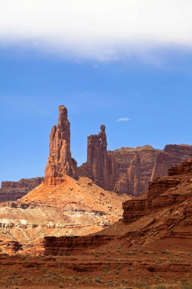 USA, Utah, Moab, Canyonlands NP, White Rim Trail art print by Fred Lord for $57.95 CAD