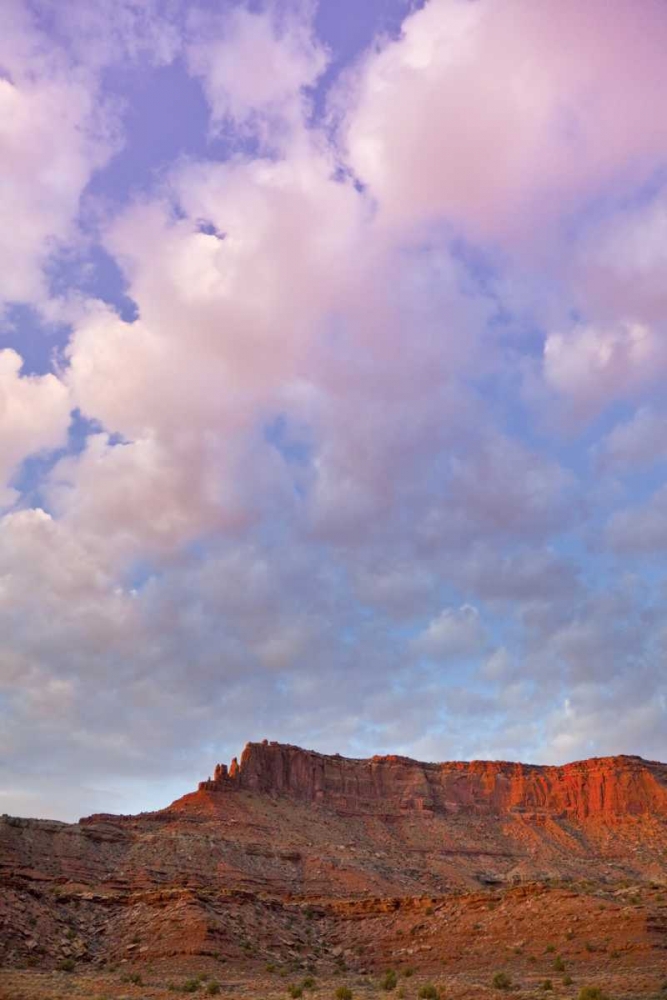UT, Canyonlands NP Grand View Point Overlook art print by Fred Lord for $57.95 CAD