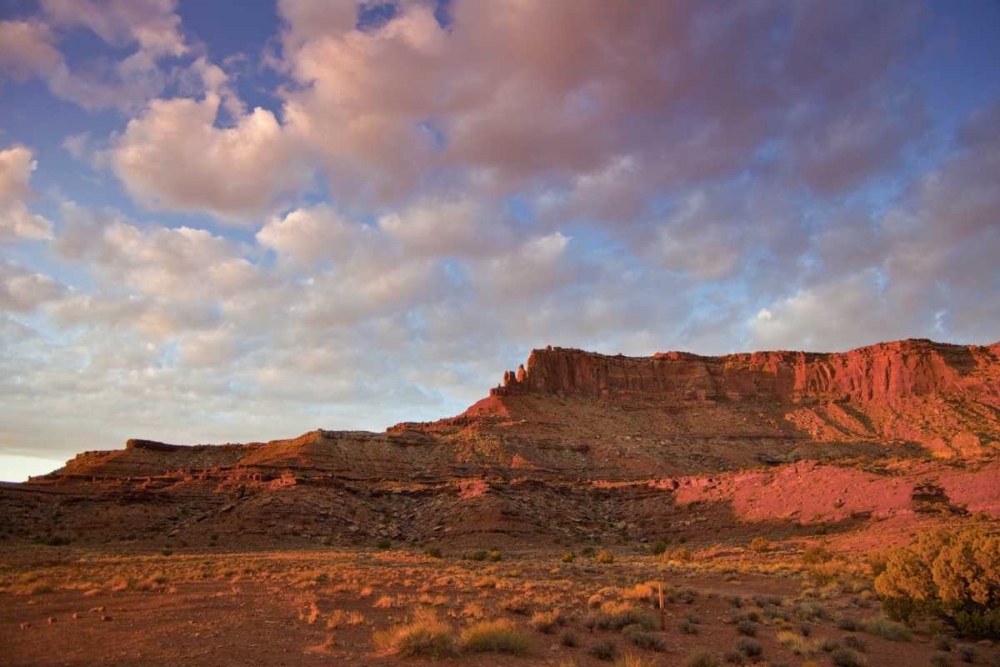 UT, Canyonlands NP Grand View Point Overlook art print by Fred Lord for $57.95 CAD