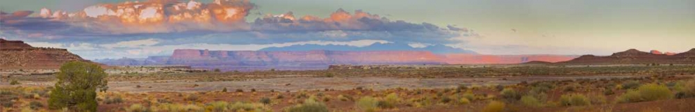 UT, Moab, Canyonlands NP Mesa and Monte La Sal art print by Fred Lord for $57.95 CAD