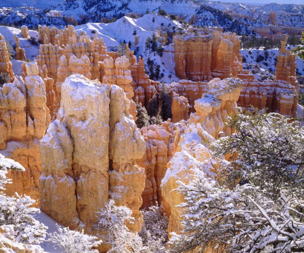 Utah, Bryce Canyon NP in Winter art print by Christopher Talbot Frank for $57.95 CAD