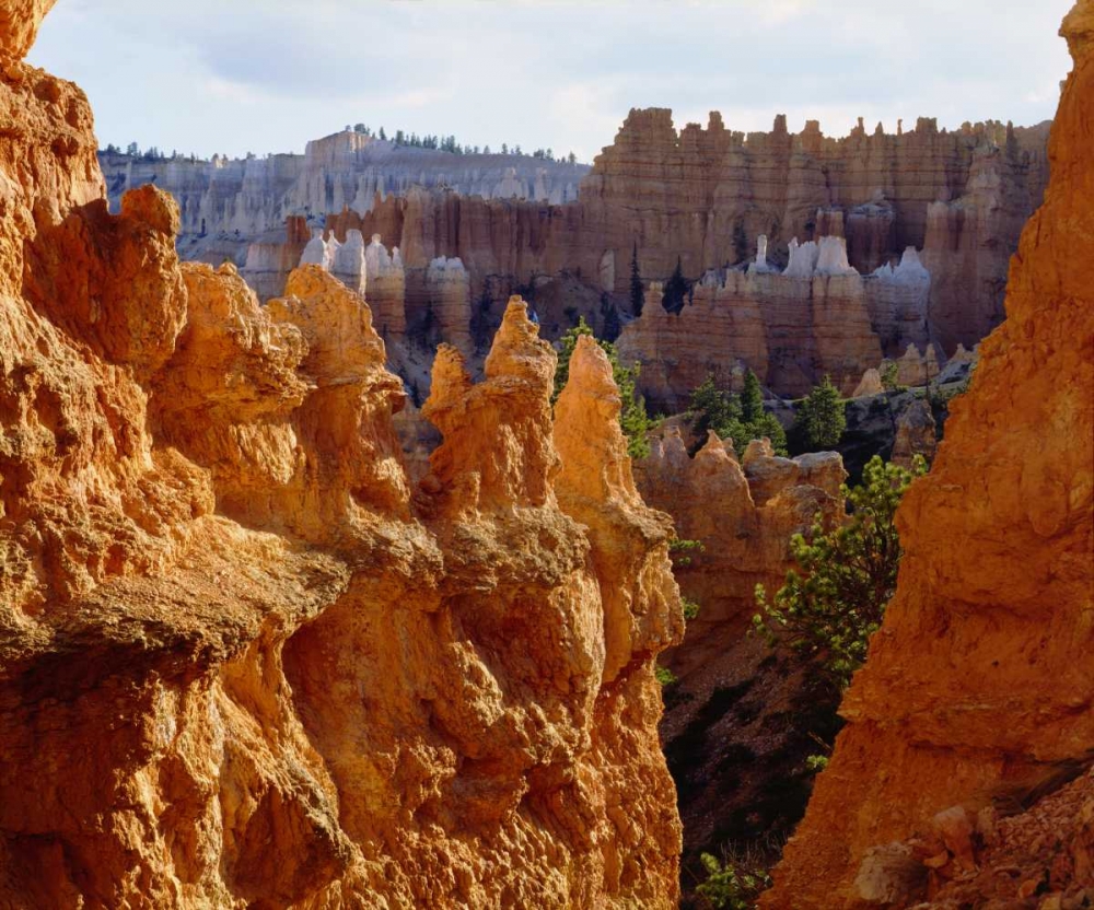 Utah, Bryce Canyon NP Sandstone formations art print by Christopher Talbot Frank for $57.95 CAD
