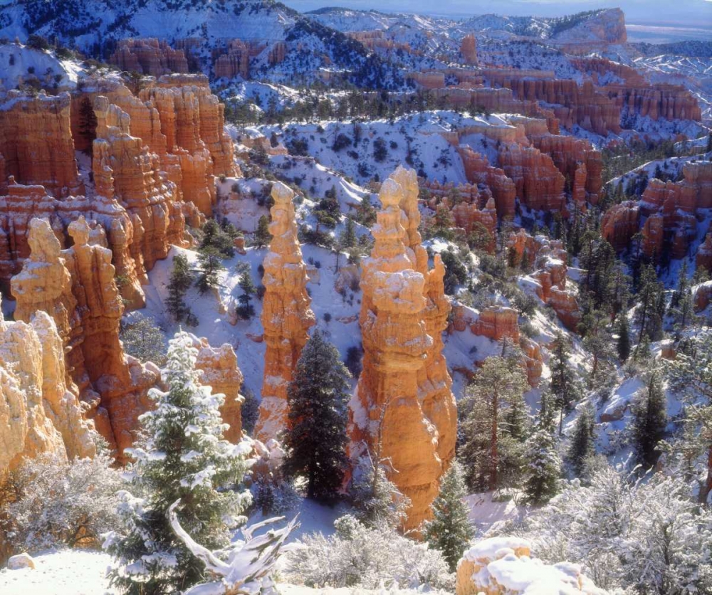 USA, Utah, Bryce Canyon NP Winter art print by Christopher Talbot Frank for $57.95 CAD