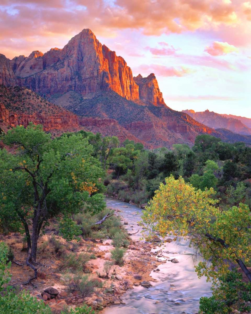 Utah, Zion NP at Sunset art print by Christopher Talbot Frank for $57.95 CAD