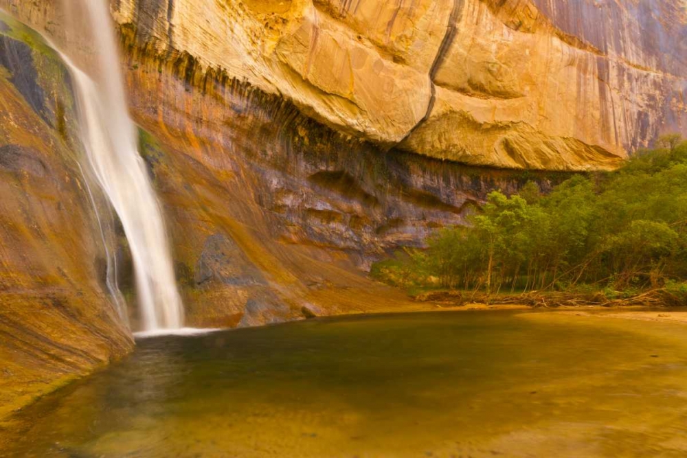 UT, Lower Calf Creek Falls Waterfall into pool art print by Cathy and Gordon Illg for $57.95 CAD