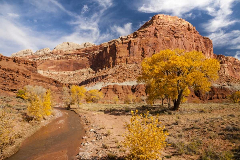 Utah, Capitol Reef Creek and autumn landscape art print by Cathy and Gordon Illg for $57.95 CAD