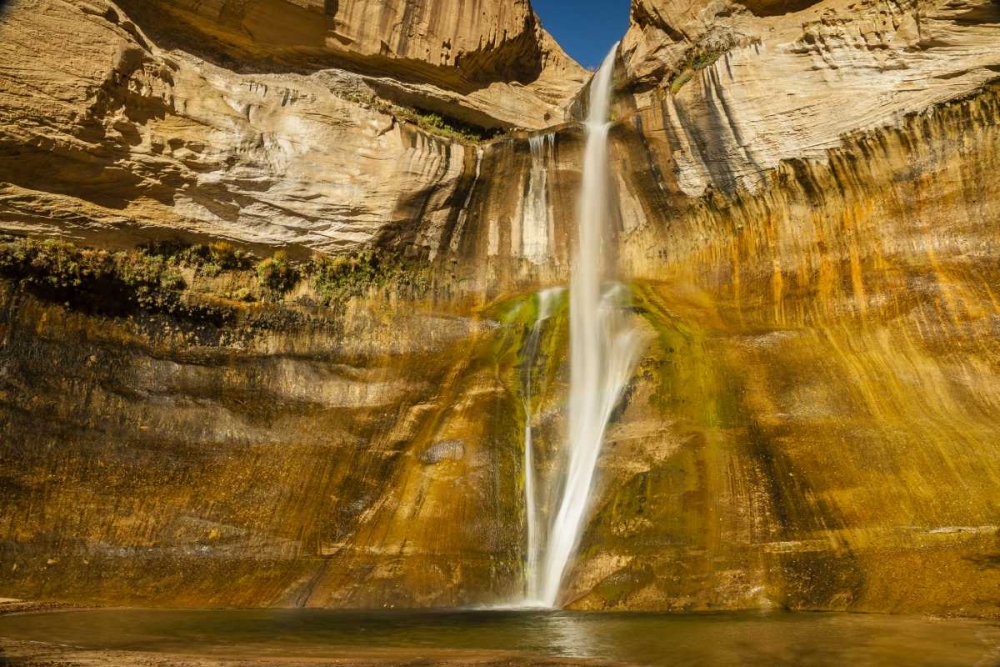 UT, Grand Staircase Escalante, Calf Creek Falls art print by Cathy and Gordon Illg for $57.95 CAD