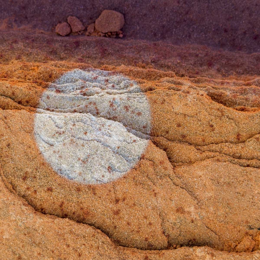Utah Circular bleaching pattern in sandstone art print by Don Paulson for $57.95 CAD