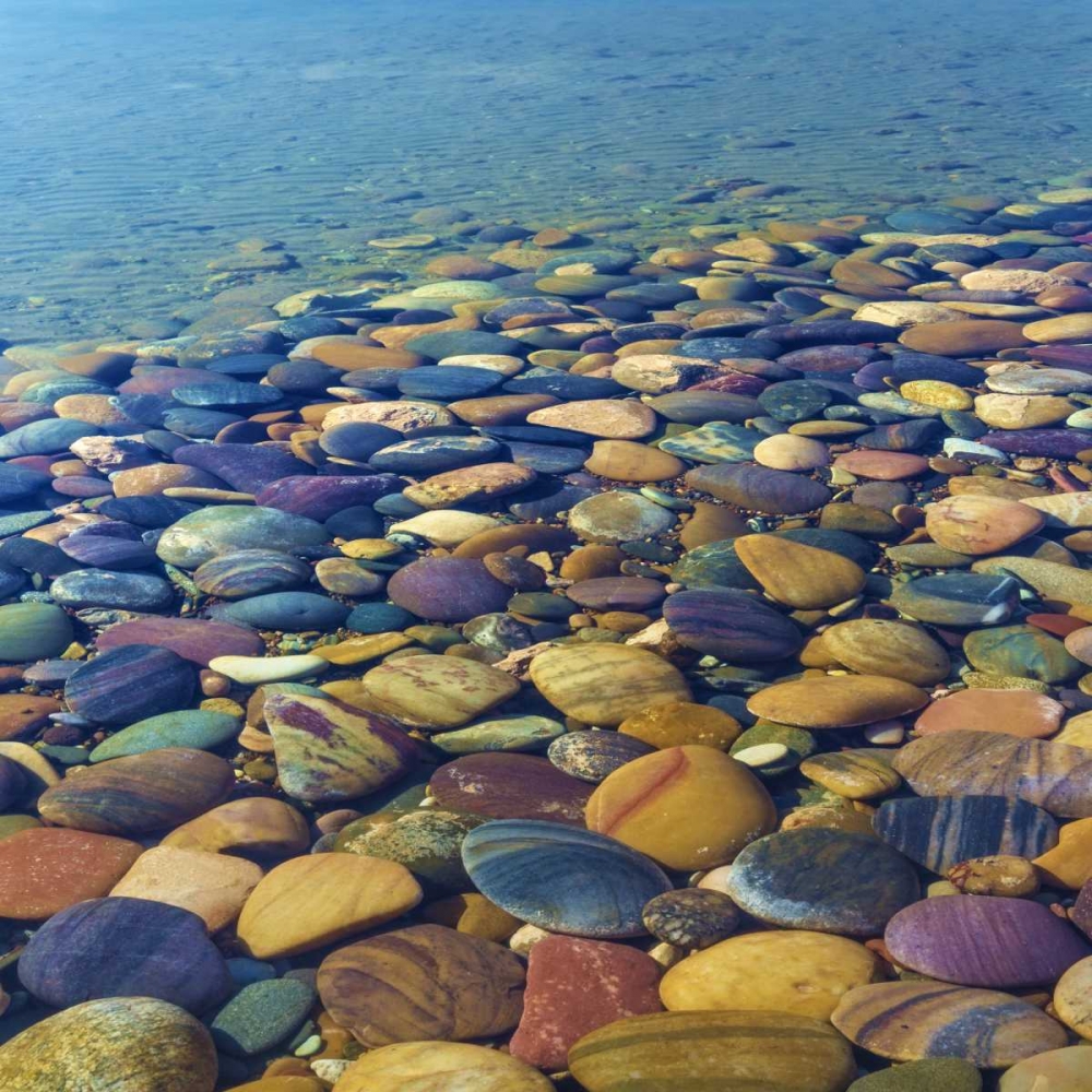 USA, Utah Colorful rocks in Lake Powell art print by Don Paulson for $57.95 CAD