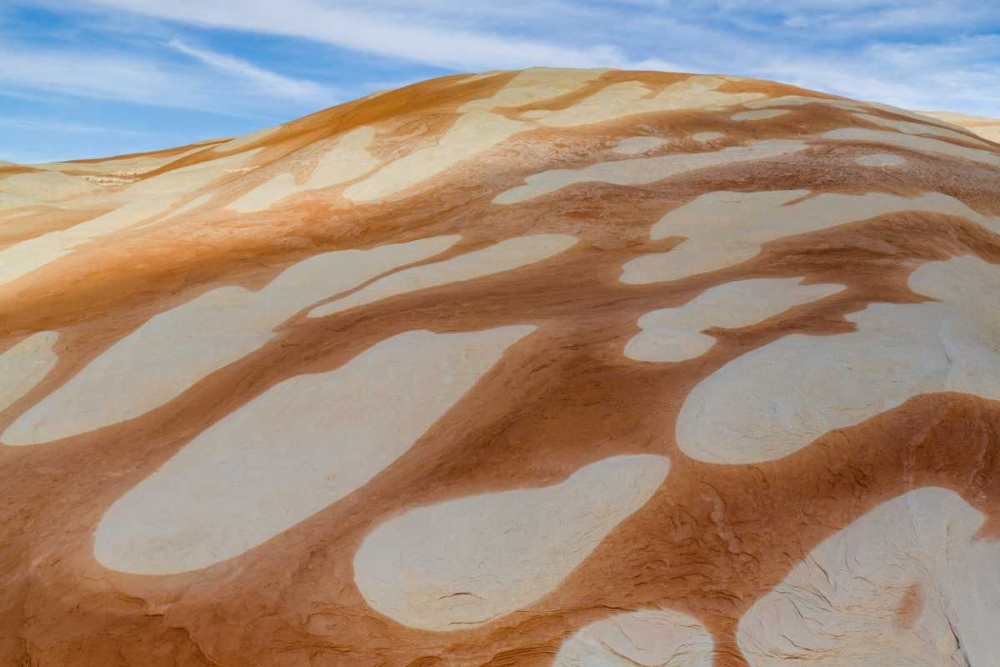 Utah, Glen Canyon Bleached patterns in sandstone art print by Don Paulson for $57.95 CAD