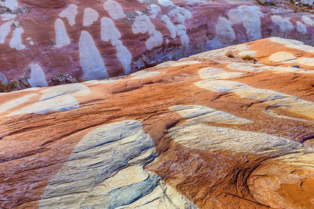 Utah, Glen Canyon Bleached patterns in sandstone art print by Don Paulson for $57.95 CAD