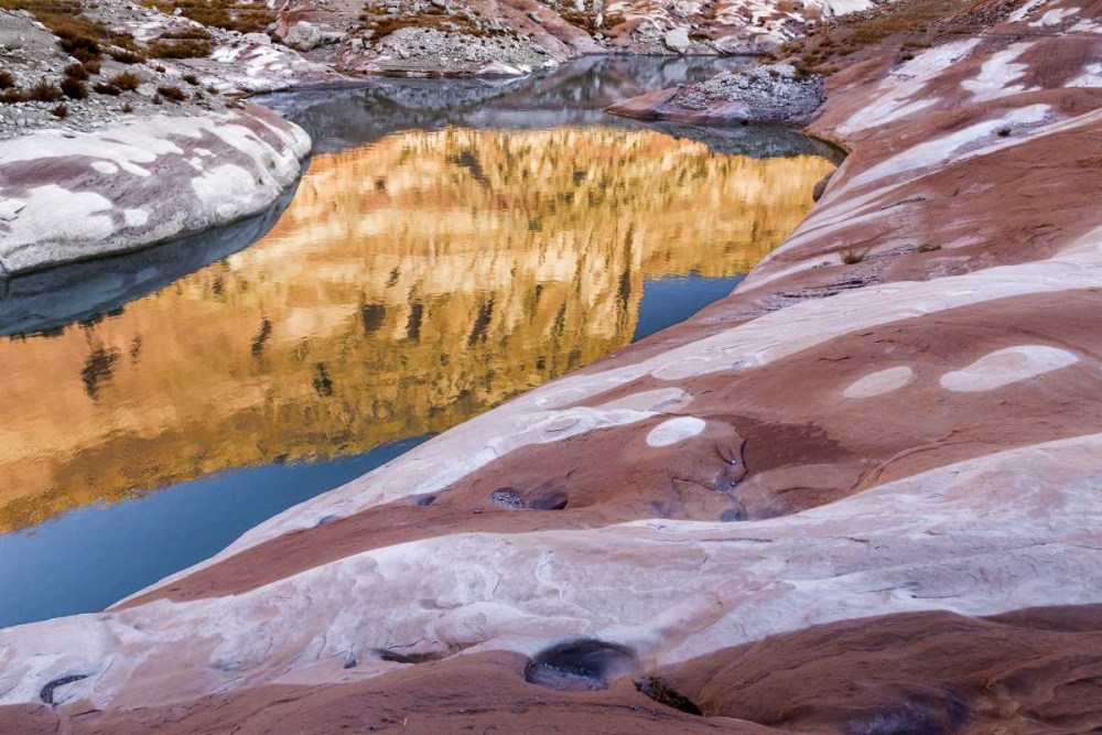 Utah, Glen Canyon Bleached patterns in sandstone art print by Don Paulson for $57.95 CAD