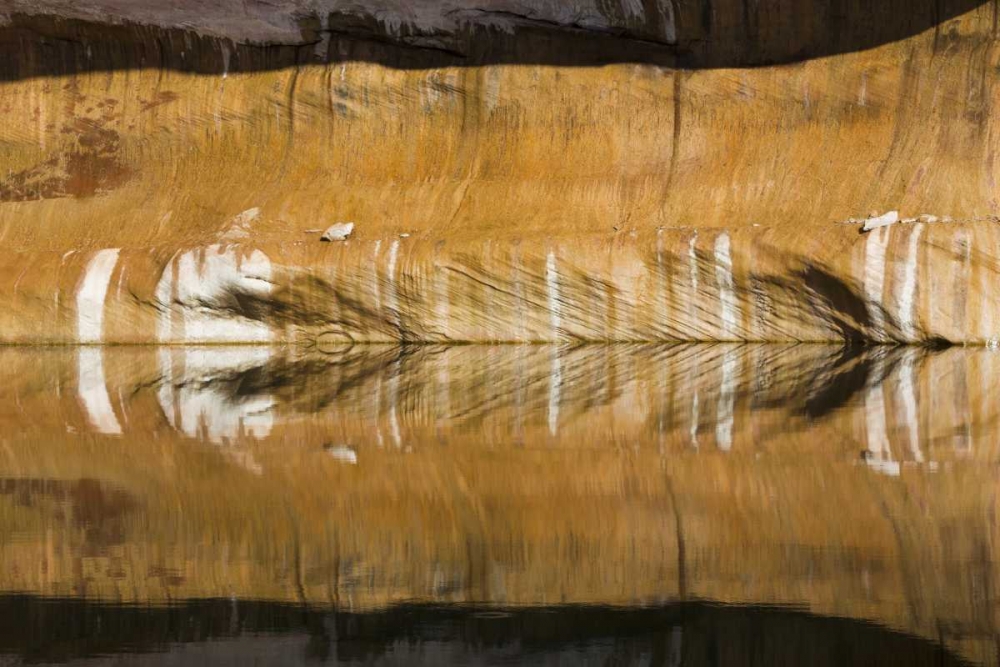 Utah, Glen Canyon Abstract reflection sandstone art print by Don Paulson for $57.95 CAD