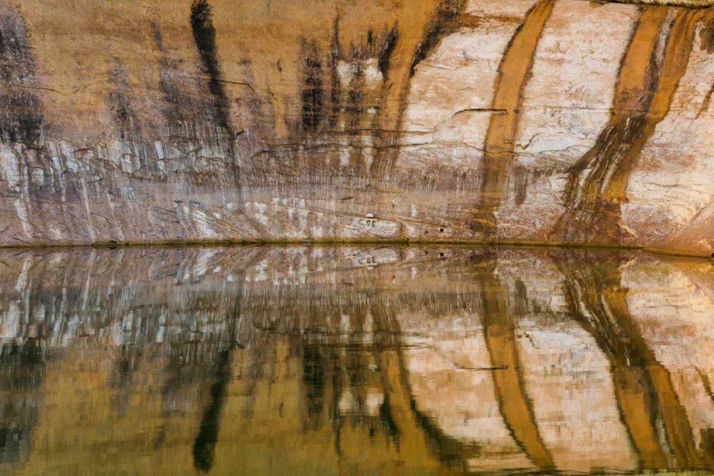 Utah, Glen Canyon Abstract reflection sandstone art print by Don Paulson for $57.95 CAD