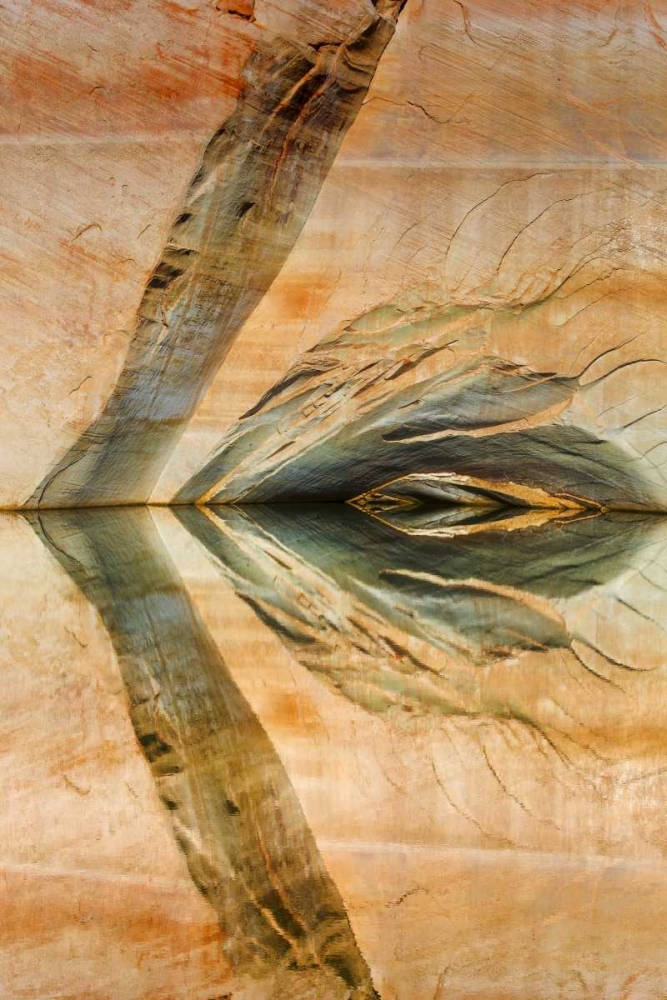 Utah, Glen Canyon Abstract reflection sandstone art print by Don Paulson for $57.95 CAD