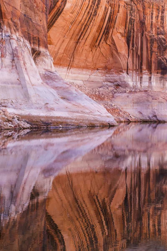 Utah, Glen Canyon Abstract reflection sandstone art print by Don Paulson for $57.95 CAD