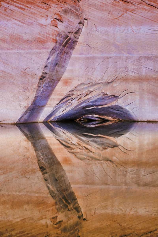 Utah, Glen Canyon Abstract reflection sandstone art print by Don Paulson for $57.95 CAD