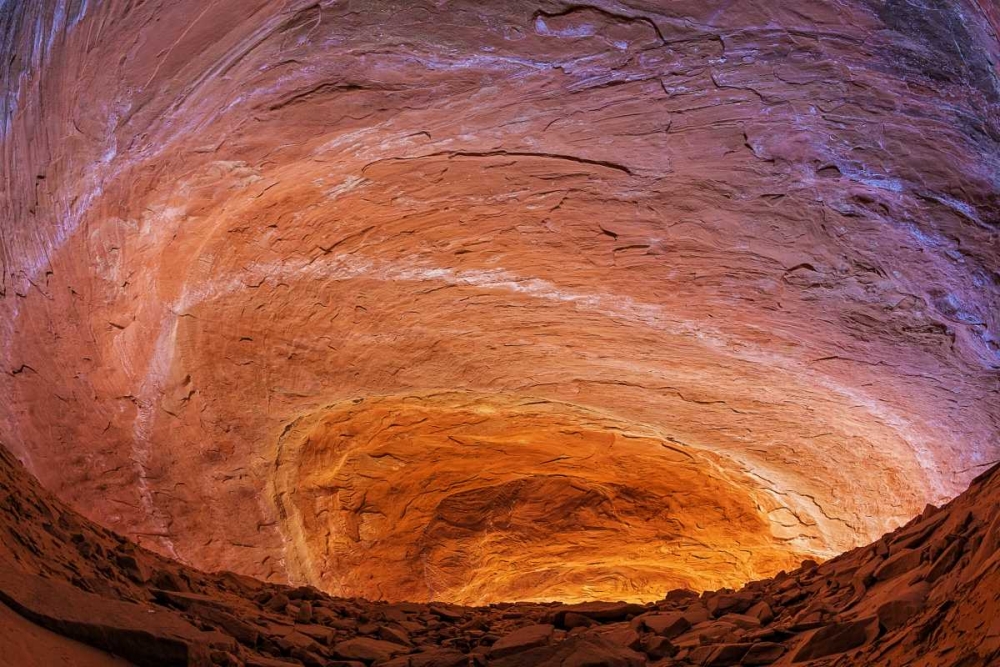 UT, Glen Canyon Sandstone of Fifty mile Canyon art print by Don Paulson for $57.95 CAD