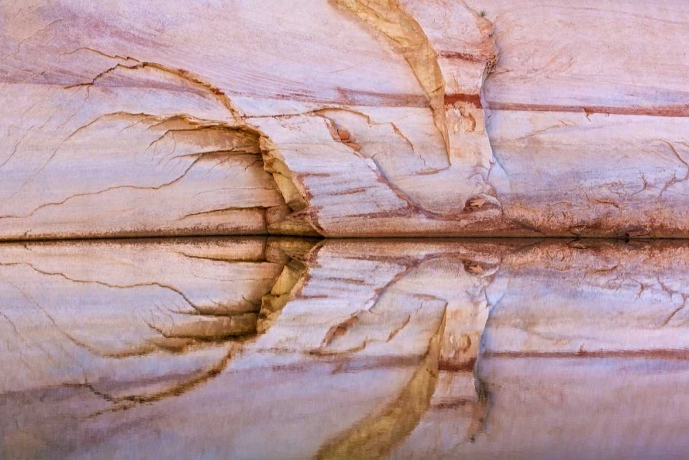 Utah, Glen Canyon Abstract reflection sandstone art print by Don Paulson for $57.95 CAD