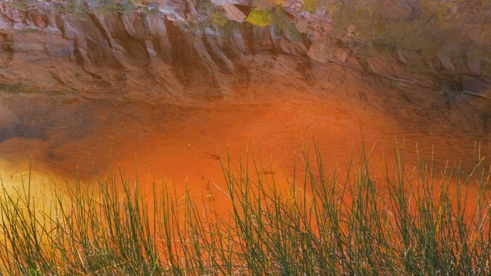 Utah, Glen Canyon NRA Reflection in Pool Canyon art print by Don Paulson for $57.95 CAD