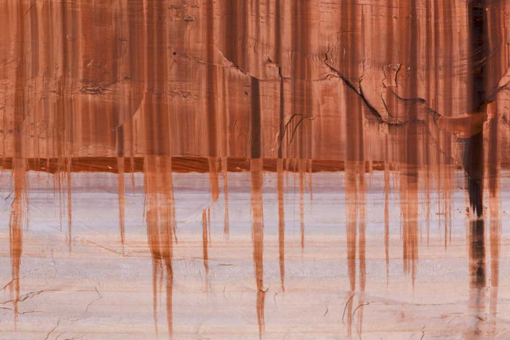 UT, Glen Canyon Sandstone with varnish stains art print by Don Paulson for $57.95 CAD