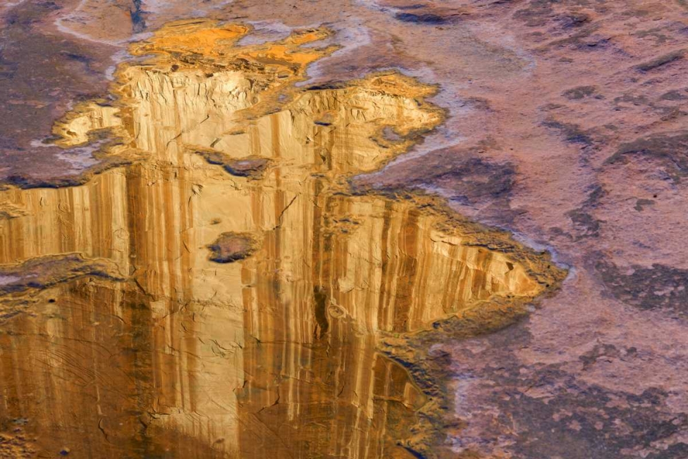 Utah, Glen Canyon Pool of water reflects a cliff art print by Don Paulson for $57.95 CAD