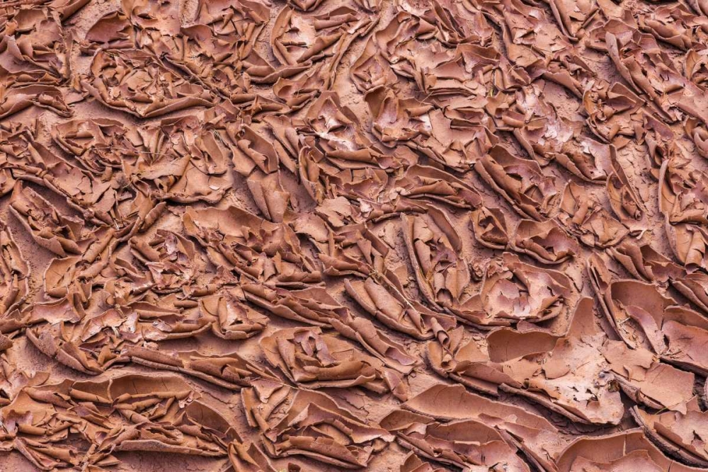 UT, Glen Canyon Dried mud left by Lake Powell art print by Don Paulson for $57.95 CAD