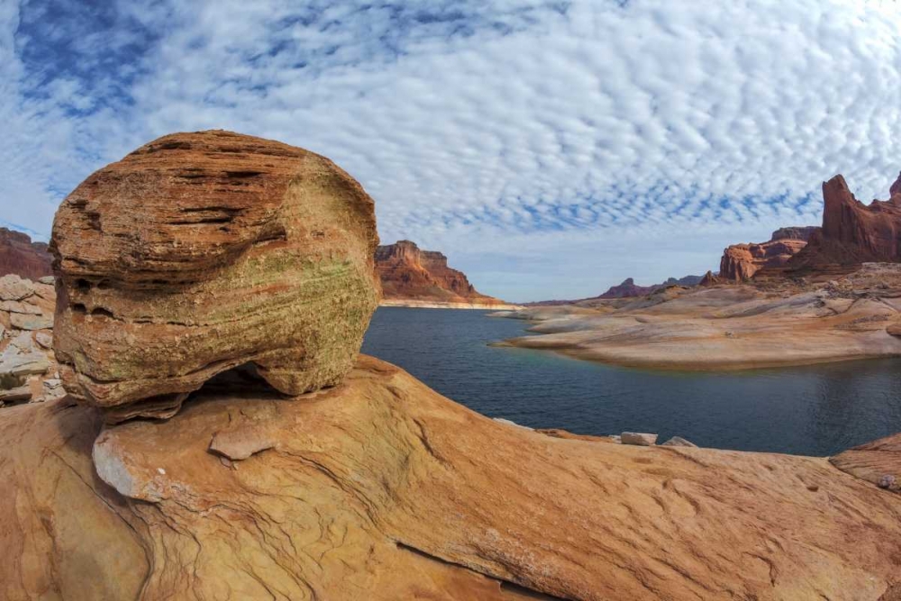 Utah, Glen Canyon NRA Landscape of Lake Powell art print by Don Paulson for $57.95 CAD