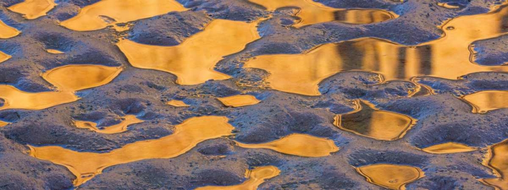 Utah, Glen Canyon Pool of water reflects a cliff art print by Don Paulson for $57.95 CAD