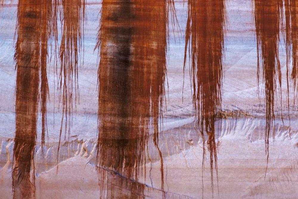 UT, Glen Canyon Sandstone with varnish stains art print by Don Paulson for $57.95 CAD