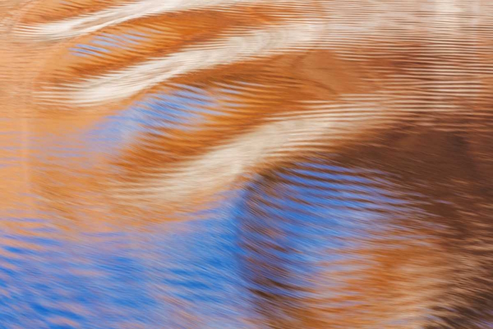 Utah, Glen Canyon Reflection in Lake Powell art print by Don Paulson for $57.95 CAD