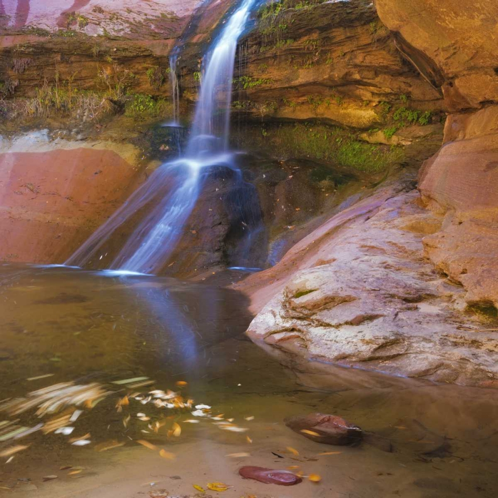 USA, Utah, Zion NP Small waterfall forms pool art print by Don Paulson for $57.95 CAD