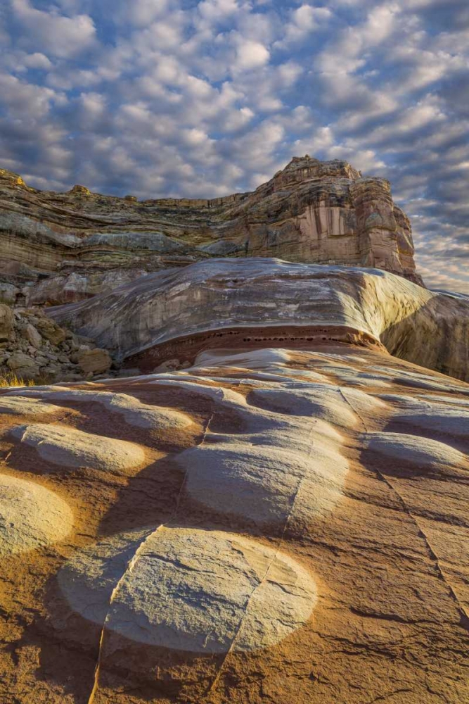 Utah, Glen Canyon Bleached patterns in sandstone art print by Don Paulson for $57.95 CAD