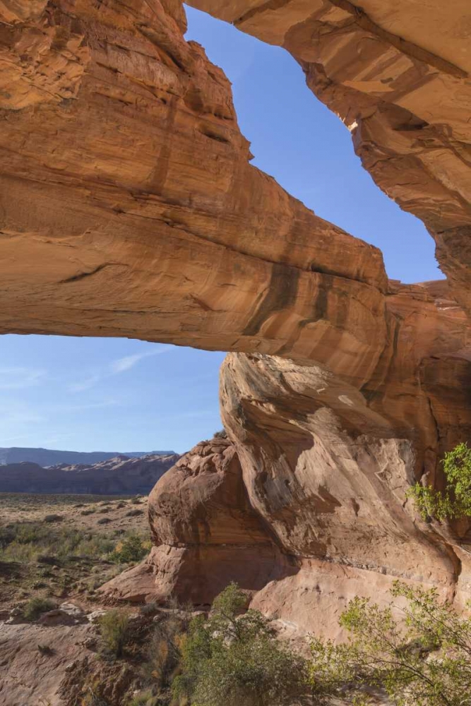 Utah, Glen Canyon NRA Close-up of Jacks Arch art print by Don Paulson for $57.95 CAD
