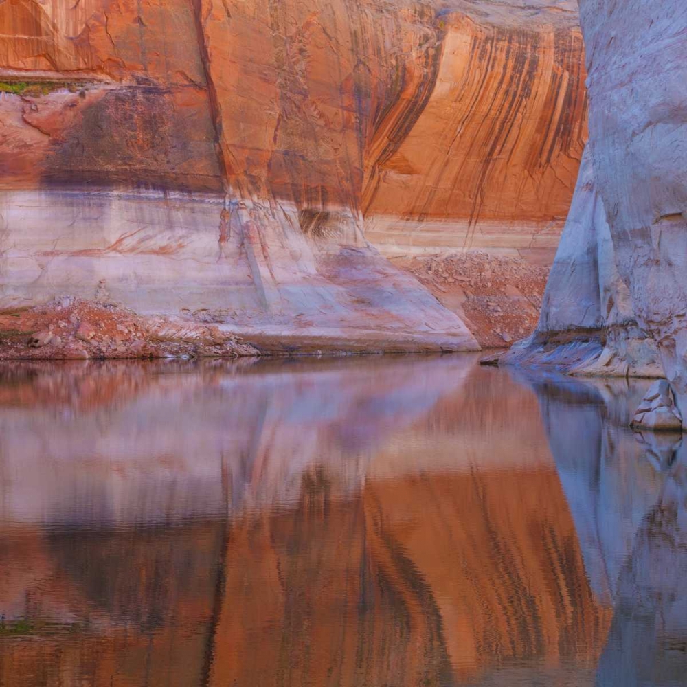 Utah, Glen Canyon Abstract reflection sandstone art print by Don Paulson for $57.95 CAD