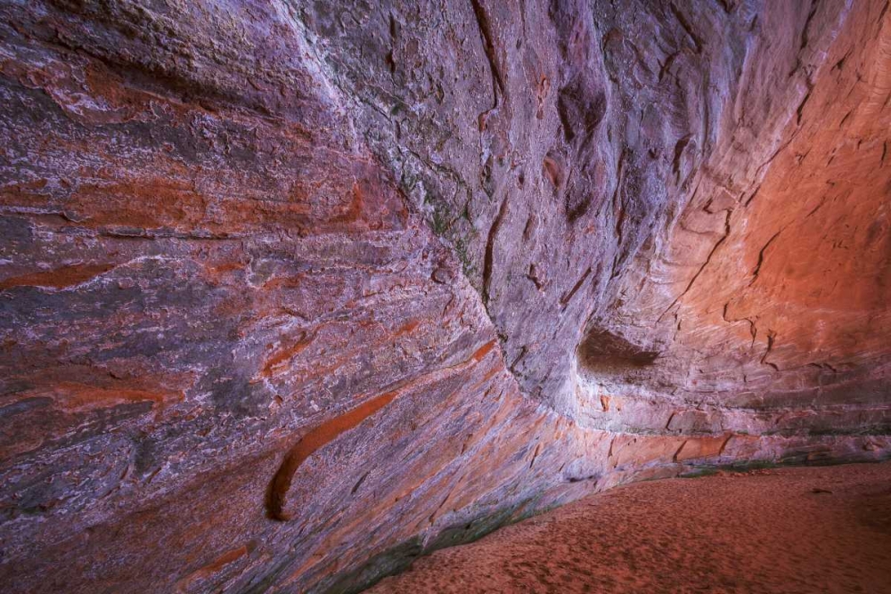 UT, Glen Canyon Sandstone of Fifty mile Canyon art print by Don Paulson for $57.95 CAD