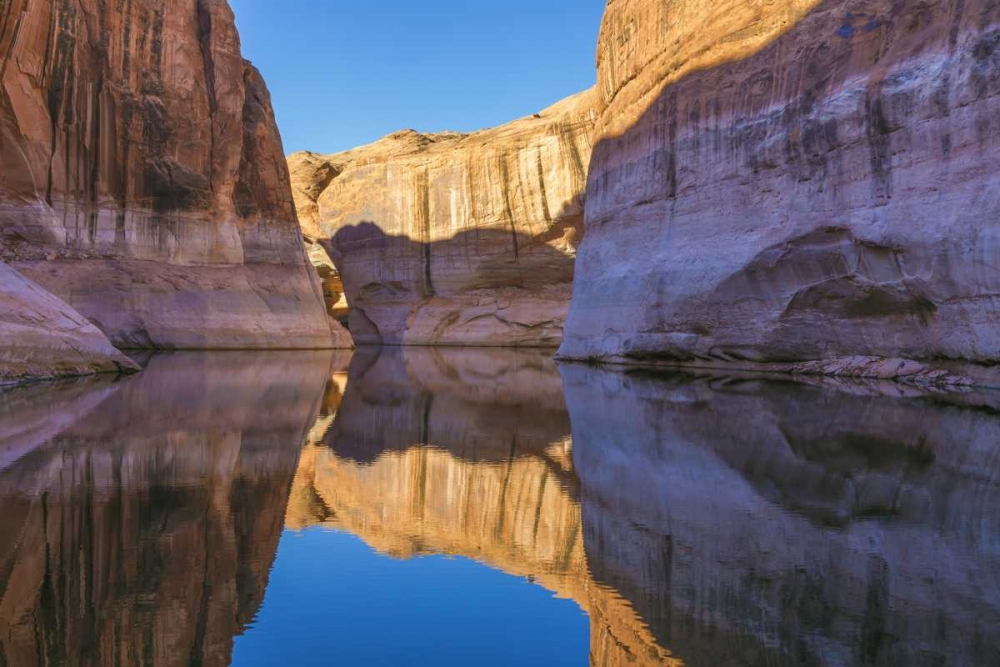 Utah, Glen Canyon Abstract reflection sandstone art print by Don Paulson for $57.95 CAD