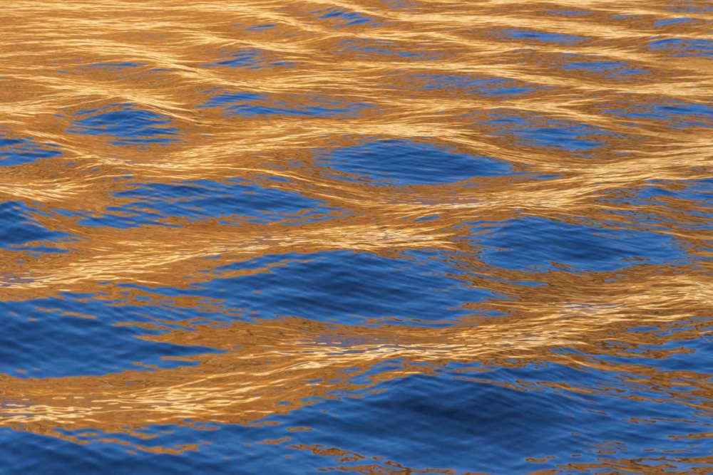 Utah, Glen Canyon Reflection in Lake Powell art print by Don Paulson for $57.95 CAD