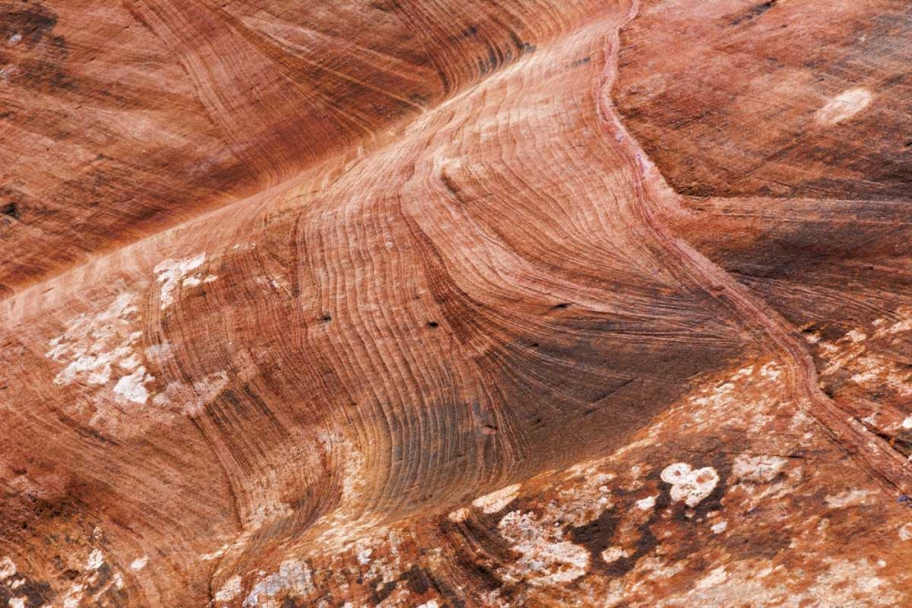 UT, Glen Canyon Patterns in rock formation art print by Don Paulson for $57.95 CAD