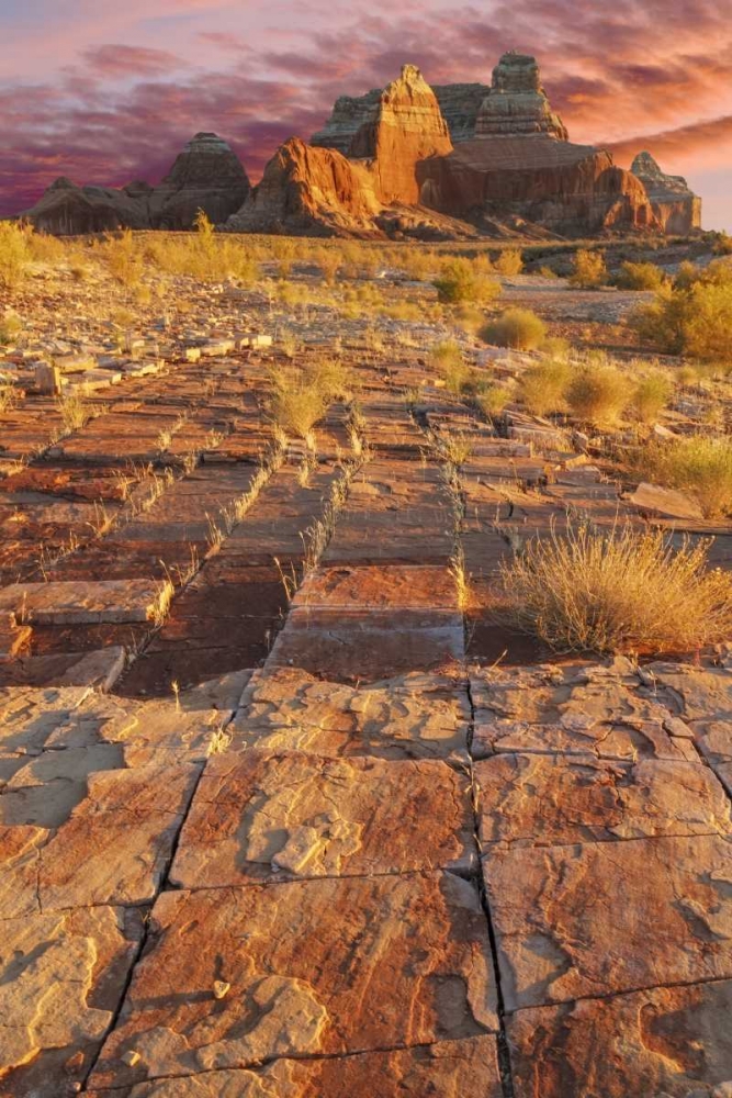 Utah, Glen Canyon Sunset on sandstone formations art print by Don Paulson for $57.95 CAD