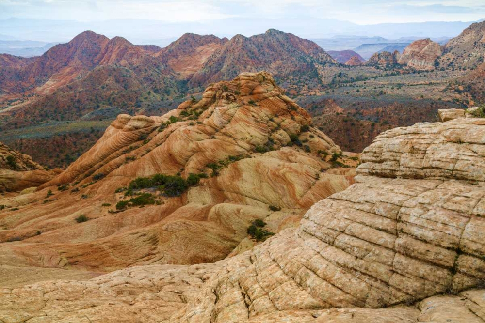 Utah Landscape in Dixie National Forest art print by Don Paulson for $57.95 CAD
