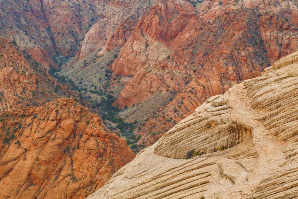 Utah Landscape in Dixie National Forest art print by Don Paulson for $57.95 CAD