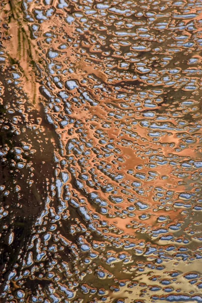 USA, Utah, Zion NP Water abstract art print by Marie Bush for $57.95 CAD