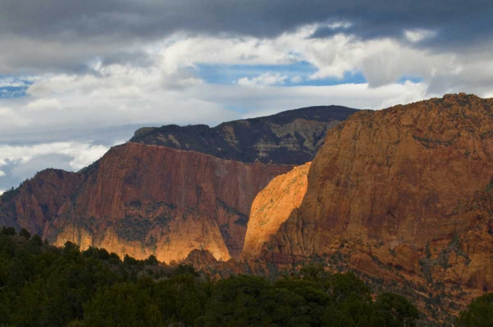 USA, Utah, Zion NP Late light on Kolob Canyon art print by Nancy Rotenberg for $57.95 CAD