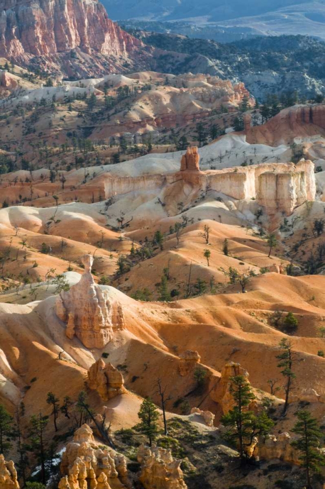 USA, Utah Hoodoo formations in Bryce Canyon NP art print by Nancy Rotenberg for $57.95 CAD