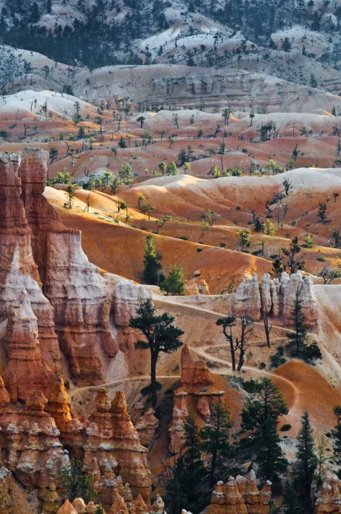 USA, Utah Hoodoo formations in Bryce Canyon NP art print by Nancy Rotenberg for $57.95 CAD