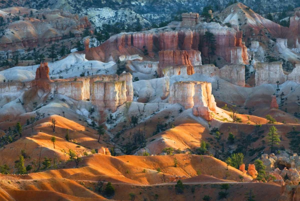 USA, Utah Hoodoo formations in Bryce Canyon NP art print by Nancy Rotenberg for $57.95 CAD