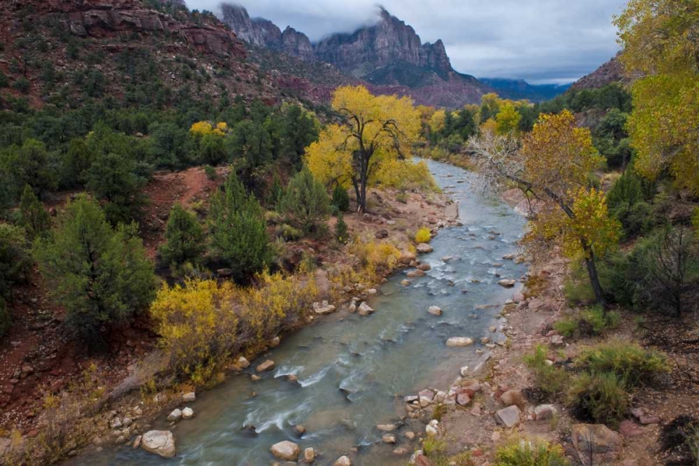 Utah, Zion NP Virgin River and cottonwood trees art print by Nancy Rotenberg for $57.95 CAD